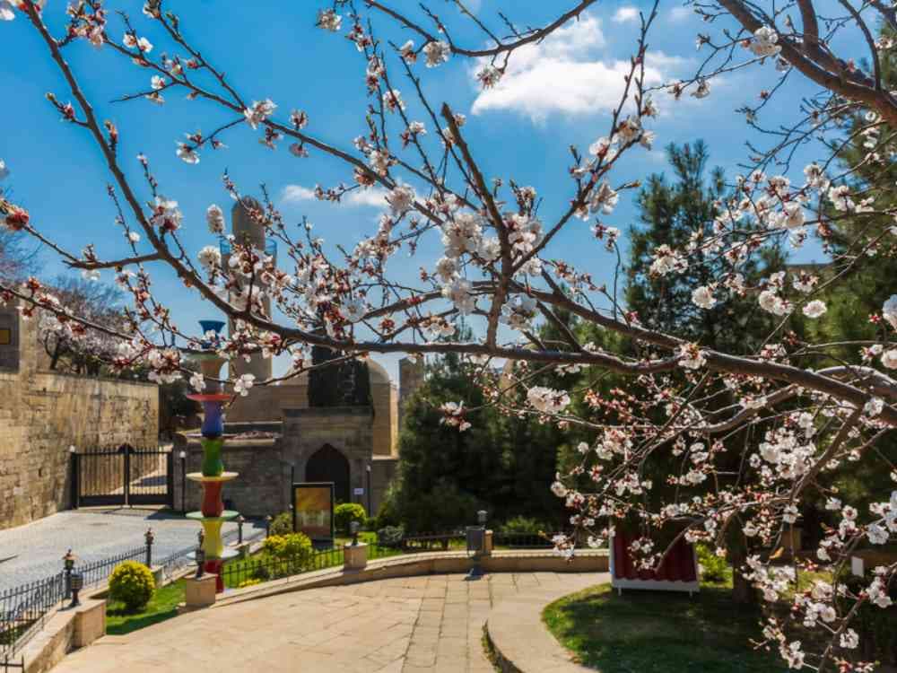 Visit Baku in March