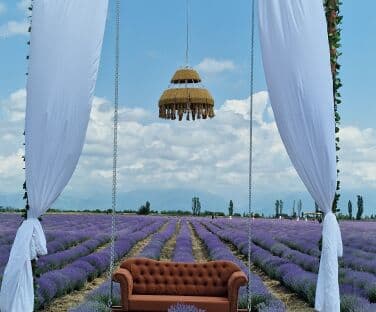 Lavanda Farm